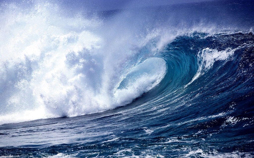 In Waves : une critique poignante qui annonce une marée d&rsquo;émotions