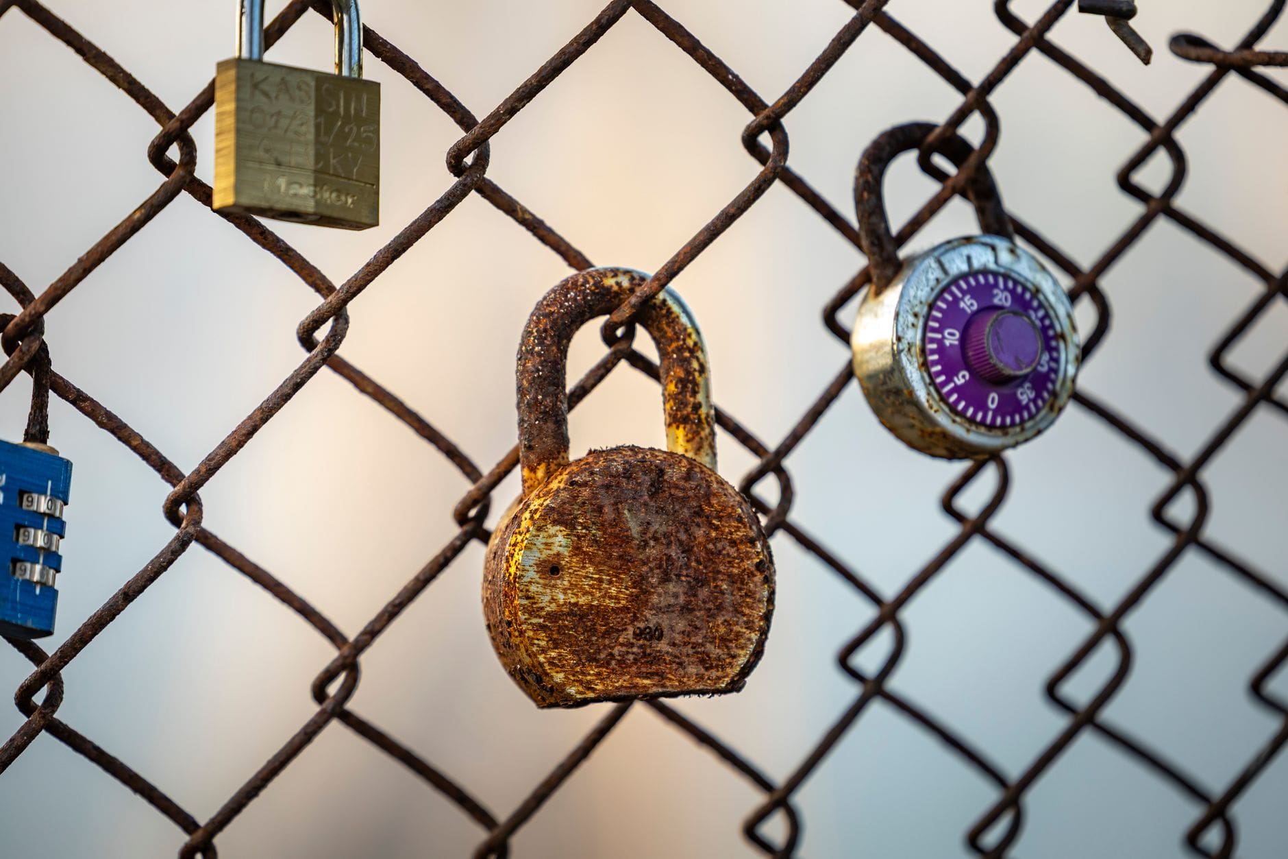 Protection des données personnelles en ligne : les bons réflexes