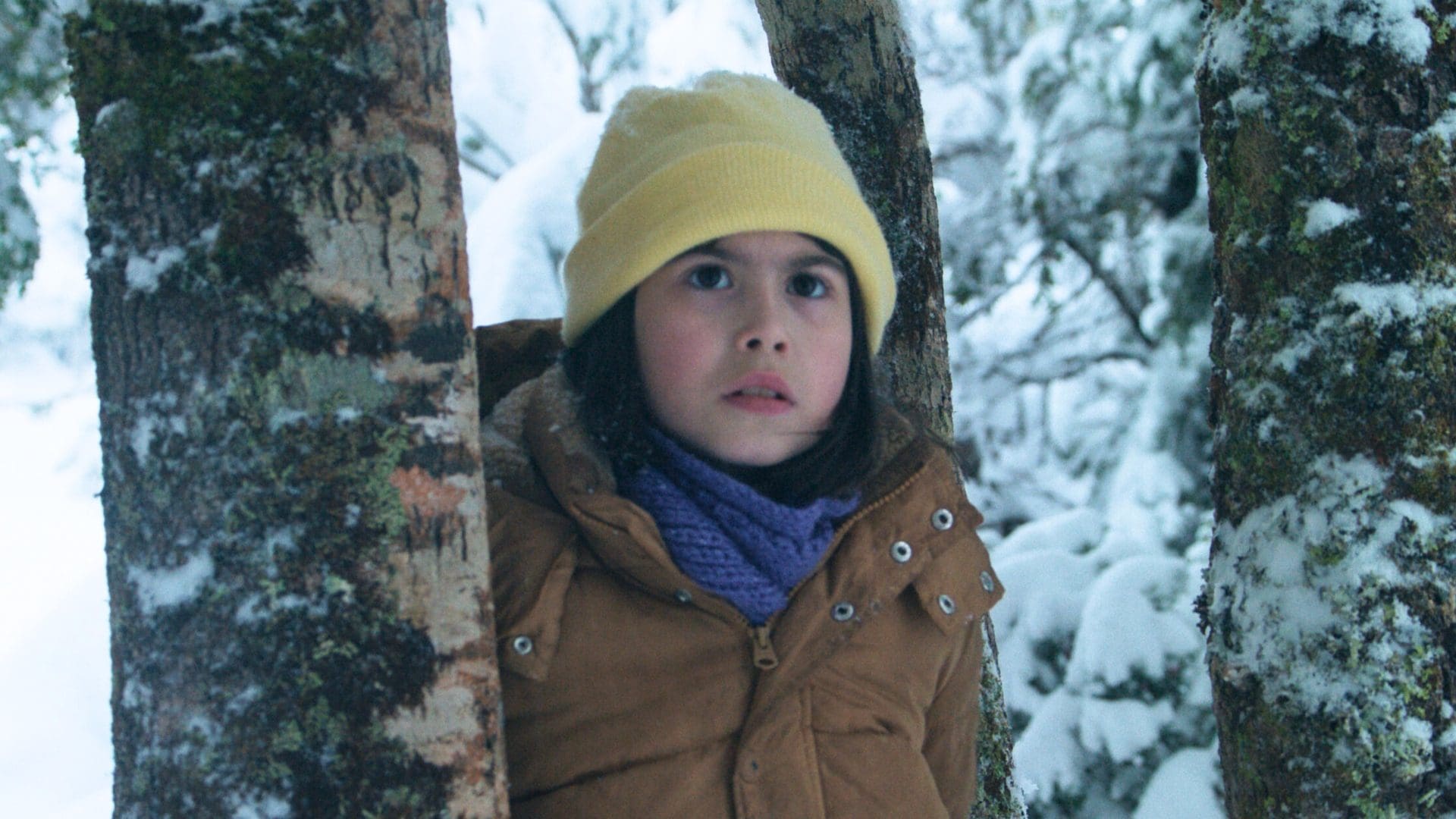 Dégel au Chili : une analyse critique de Shining