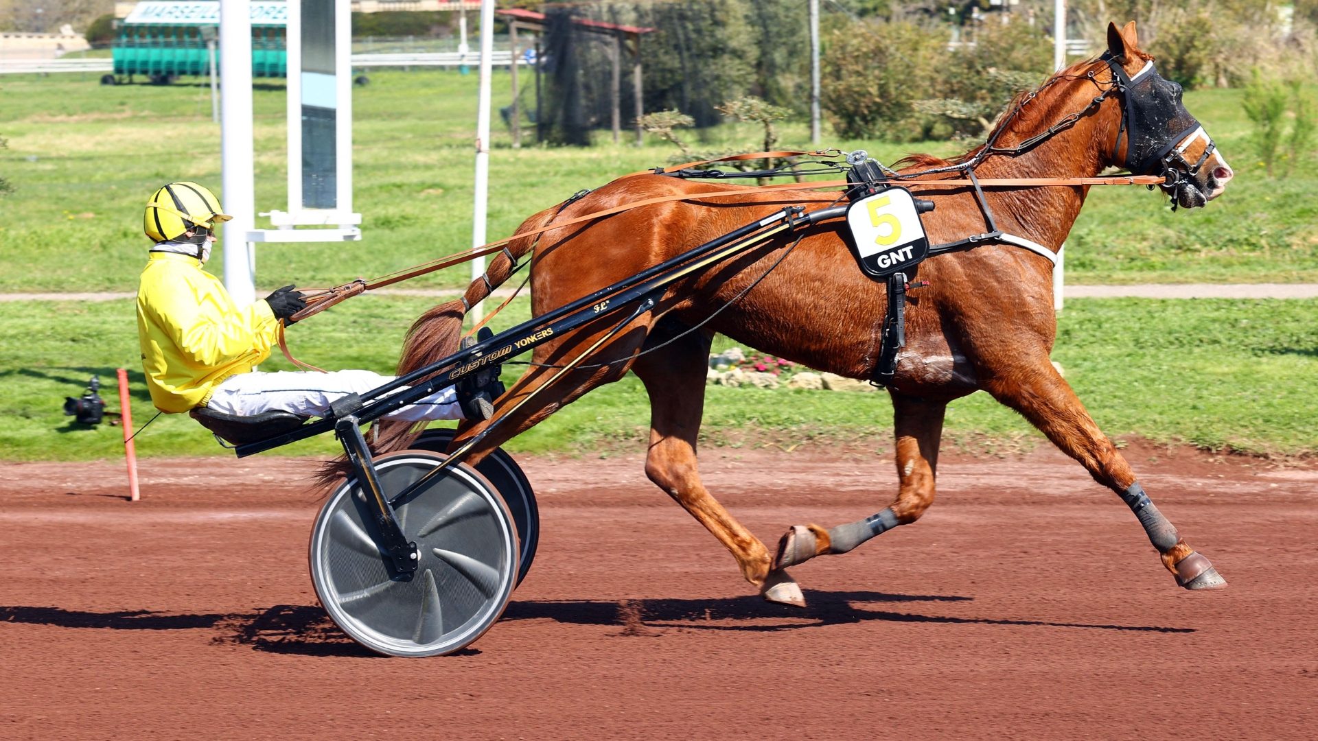 Infonet 5 : le guide pratique de l&rsquo;extranet LeTrot pour les pros du trot